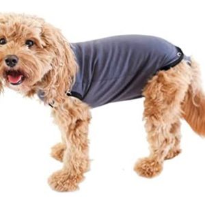 Recovery Suit for dogs. L